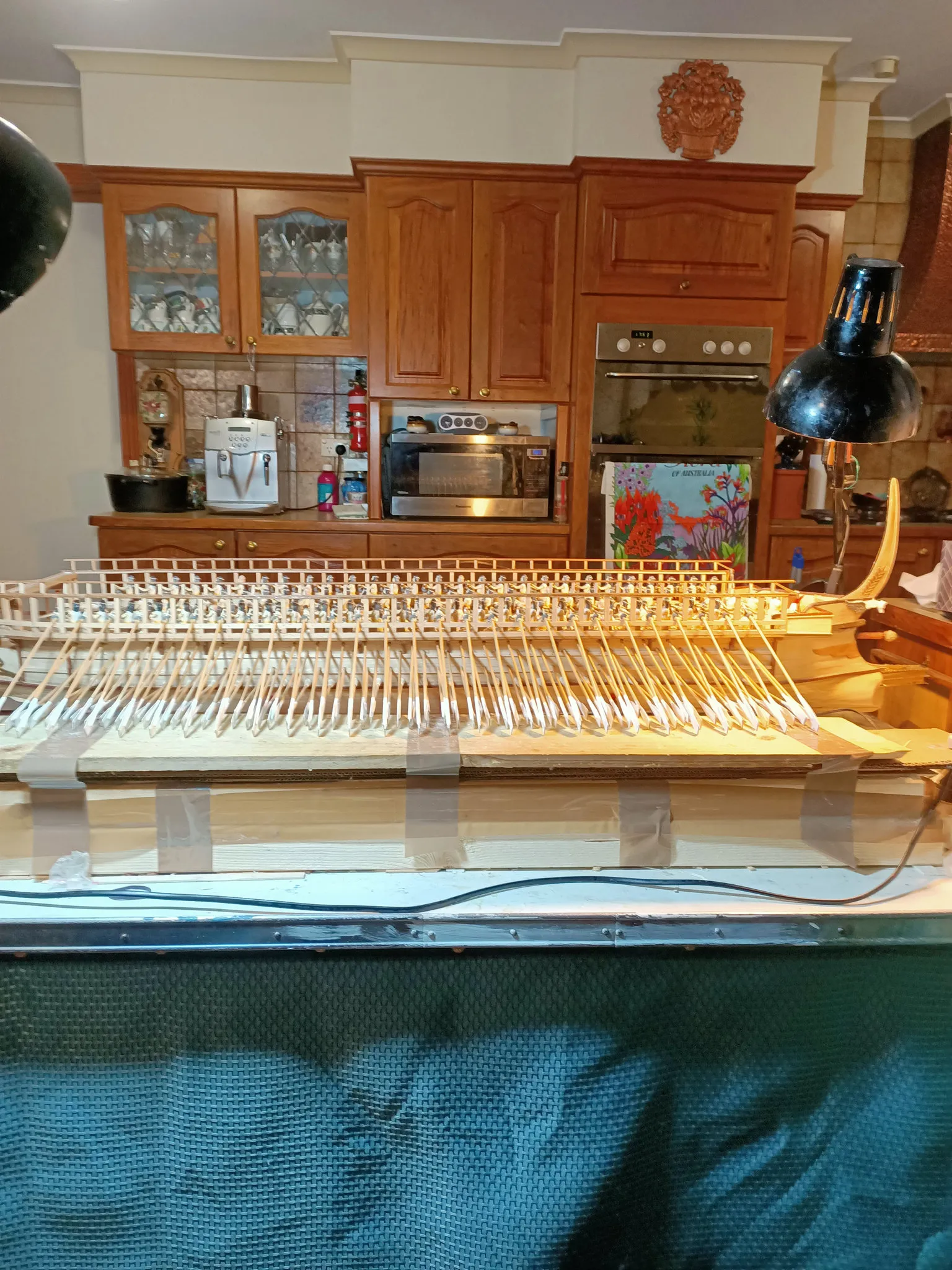The Penteris (Work in Progress): On the kitchen bench